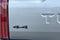 2023 Toyota Tundra 4WD Platinum