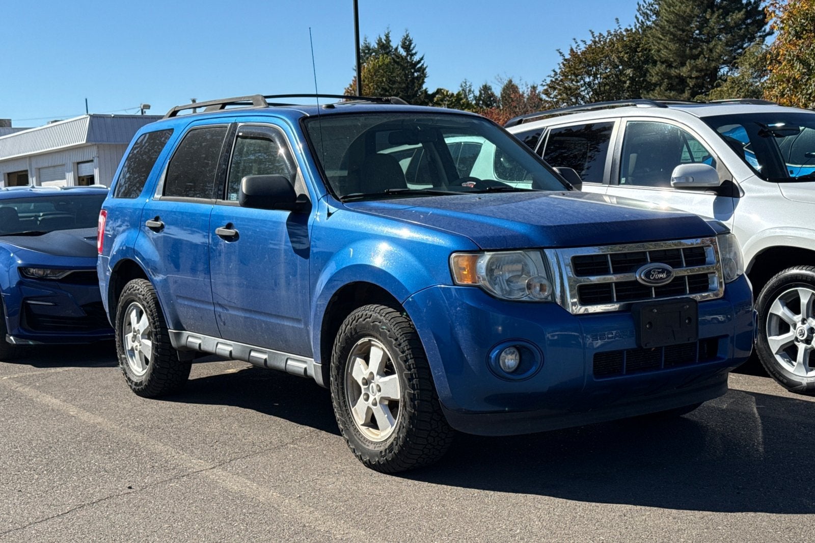 2011 Ford Escape XLT