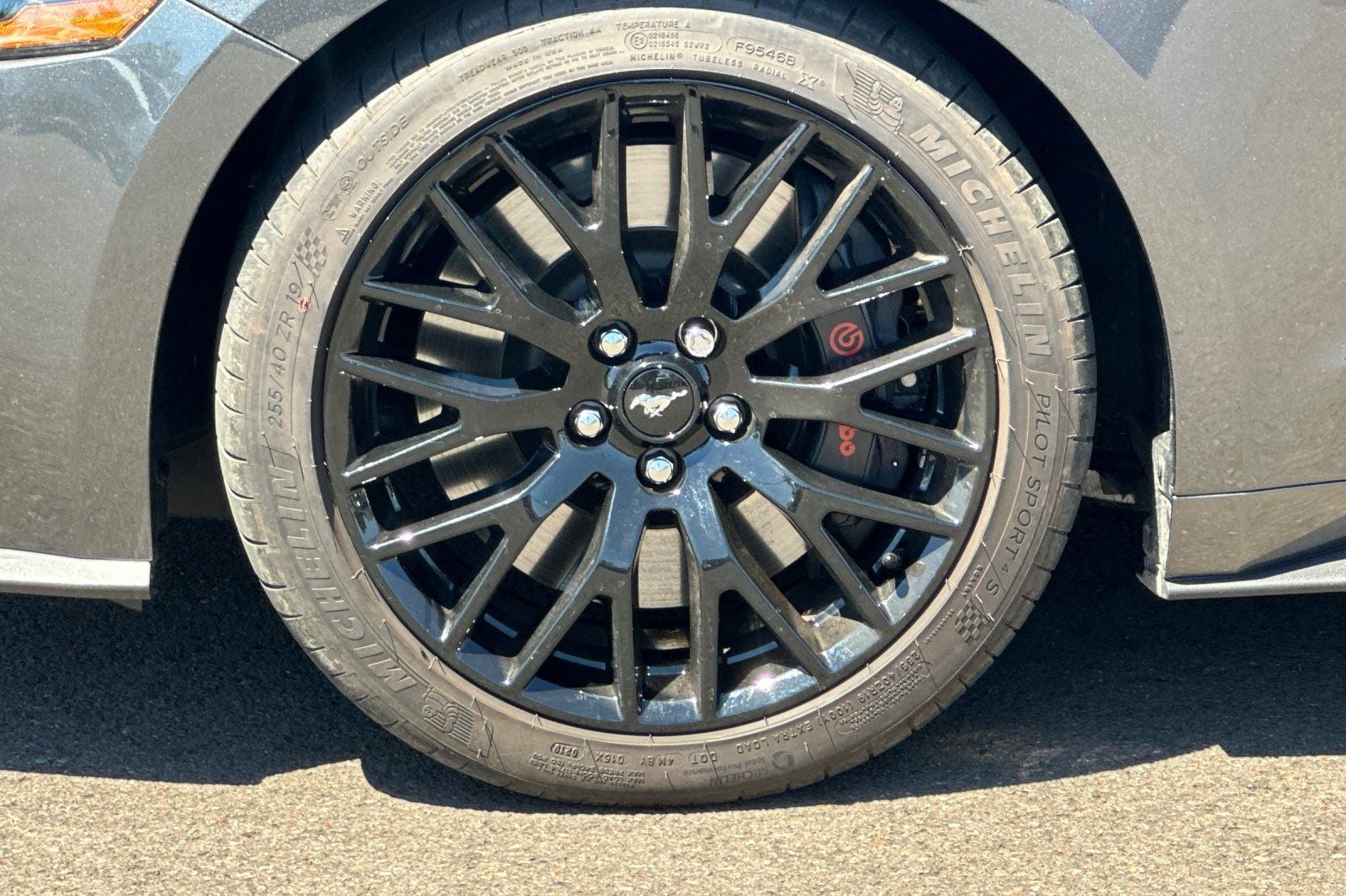2019 Ford Mustang GT