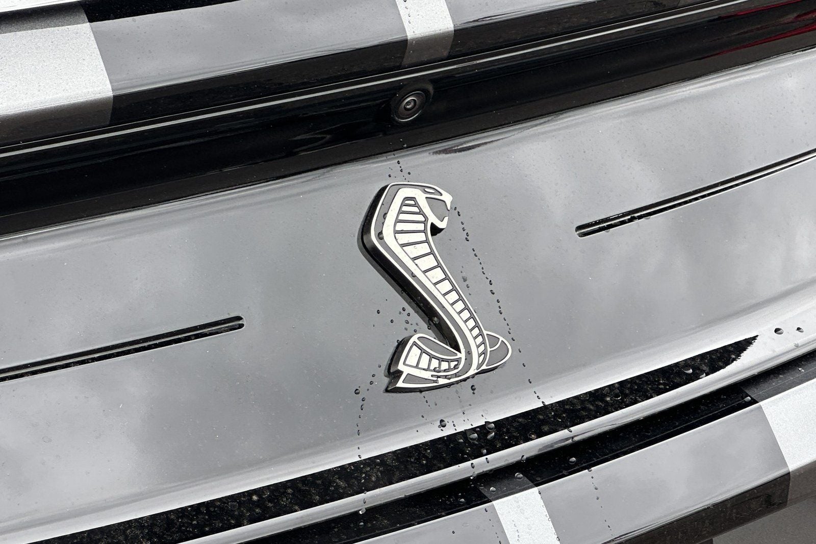 2020 Ford Mustang Shelby GT500